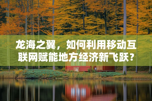 龙海之翼，如何利用移动互联网赋能地方经济新飞跃？