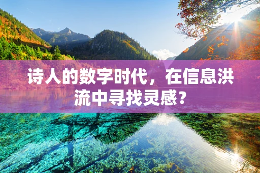 诗人的数字时代，在信息洪流中寻找灵感？