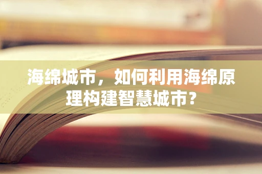 海绵城市，如何利用海绵原理构建智慧城市？