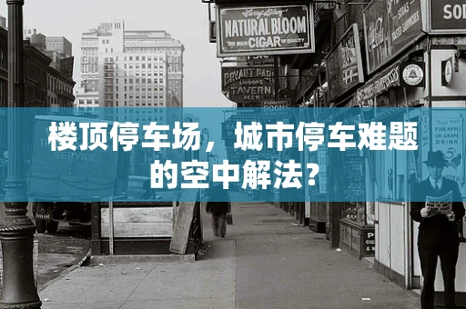 楼顶停车场，城市停车难题的空中解法？