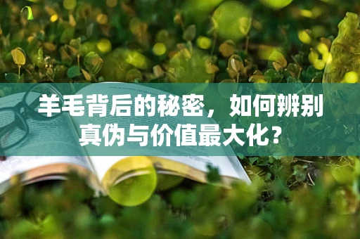 羊毛背后的秘密，如何辨别真伪与价值最大化？