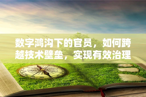 数字鸿沟下的官员，如何跨越技术壁垒，实现有效治理？