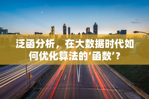 泛函分析，在大数据时代如何优化算法的‘函数’？