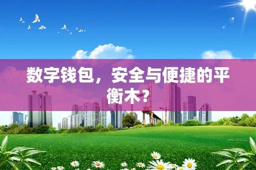 数字钱包，安全与便捷的平衡木？