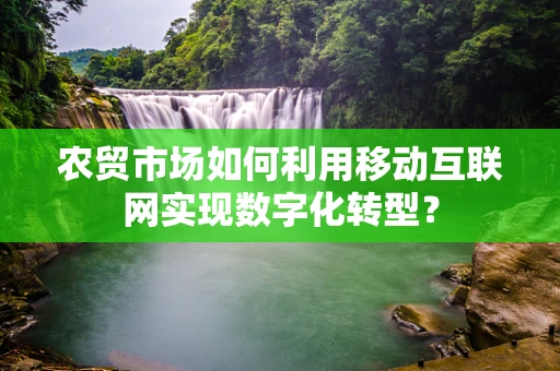 农贸市场如何利用移动互联网实现数字化转型？