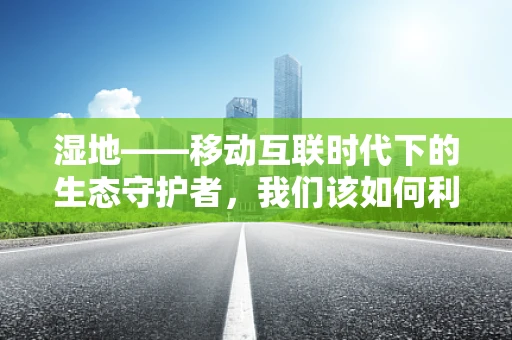 湿地——移动互联时代下的生态守护者，我们该如何利用科技力量保护它？