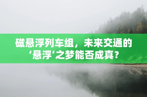 磁悬浮列车组，未来交通的‘悬浮’之梦能否成真？