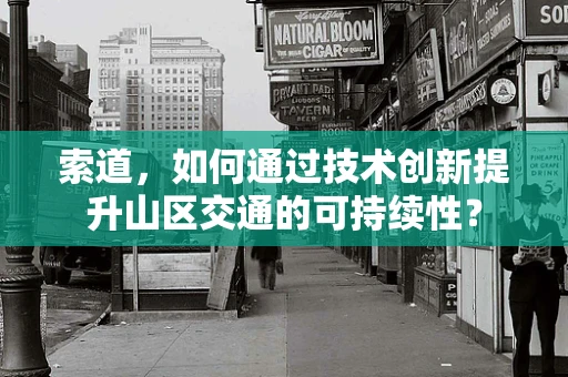 索道，如何通过技术创新提升山区交通的可持续性？