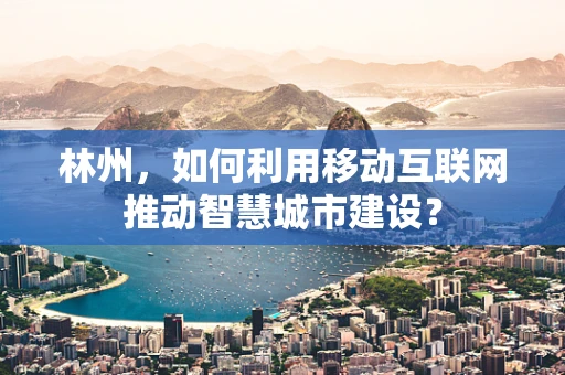 林州，如何利用移动互联网推动智慧城市建设？