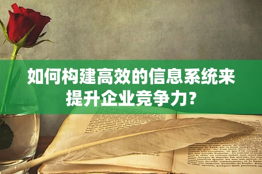 如何构建高效的信息系统来提升企业竞争力？