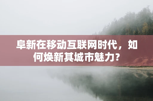 阜新在移动互联网时代，如何焕新其城市魅力？