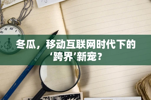 冬瓜，移动互联网时代下的‘跨界’新宠？