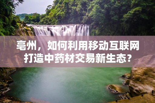 亳州，如何利用移动互联网打造中药材交易新生态？