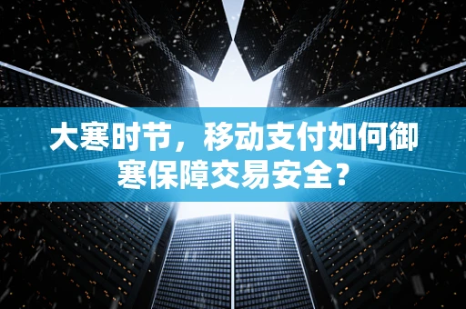 大寒时节，移动支付如何御寒保障交易安全？