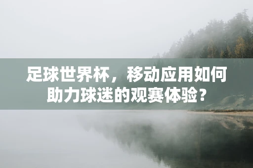 足球世界杯，移动应用如何助力球迷的观赛体验？