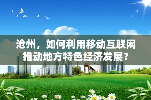 沧州，如何利用移动互联网推动地方特色经济发展？