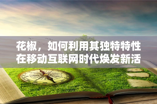 花椒，如何利用其独特特性在移动互联网时代焕发新活力？