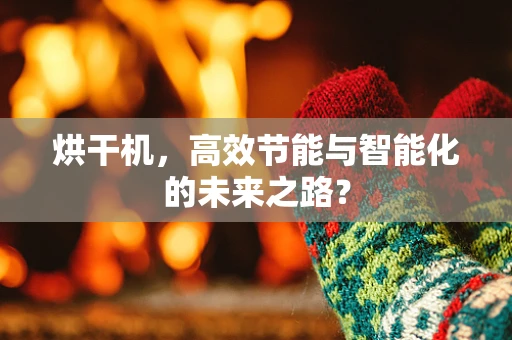 烘干机，高效节能与智能化的未来之路？