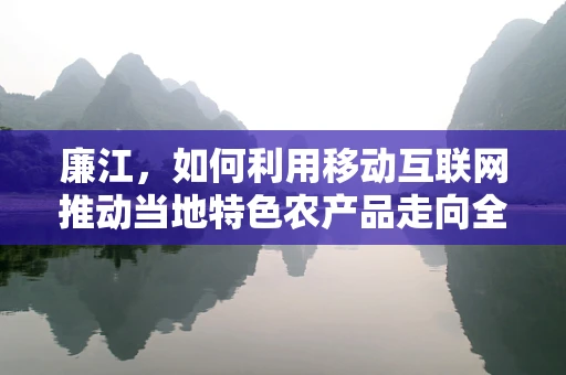 廉江，如何利用移动互联网推动当地特色农产品走向全国？