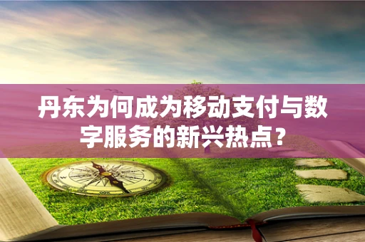 丹东为何成为移动支付与数字服务的新兴热点？