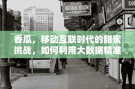 香瓜，移动互联时代的甜蜜挑战，如何利用大数据精准营销？