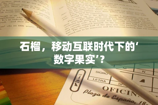 石榴，移动互联时代下的‘数字果实’？