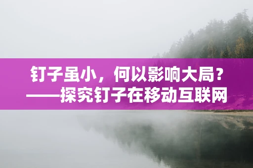 钉子虽小，何以影响大局？——探究钉子在移动互联网时代的应用与影响