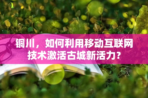 铜川，如何利用移动互联网技术激活古城新活力？