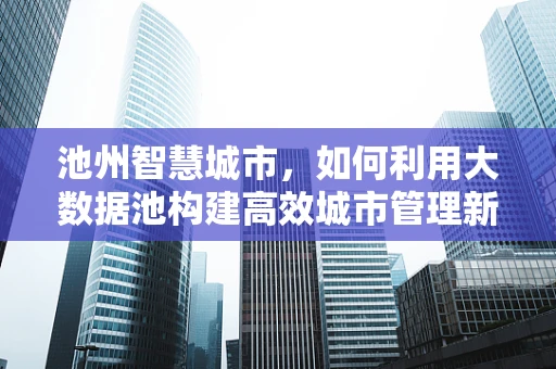 池州智慧城市，如何利用大数据池构建高效城市管理新模式？