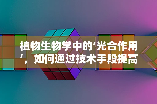 植物生物学中的‘光合作用’，如何通过技术手段提高其效率？