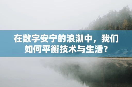 在数字安宁的浪潮中，我们如何平衡技术与生活？