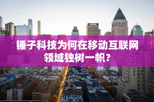 锤子科技为何在移动互联网领域独树一帜？