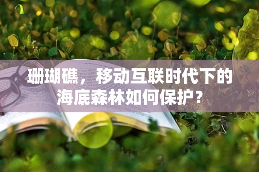 珊瑚礁，移动互联时代下的海底森林如何保护？