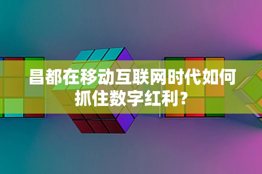 昌都在移动互联网时代如何抓住数字红利？