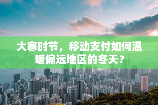 大寒时节，移动支付如何温暖偏远地区的冬天？