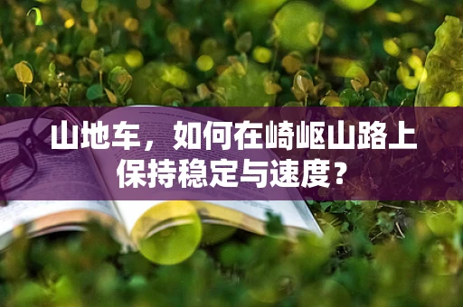 山地车，如何在崎岖山路上保持稳定与速度？