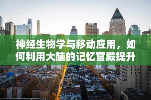 神经生物学与移动应用，如何利用大脑的记忆宫殿提升用户体验？