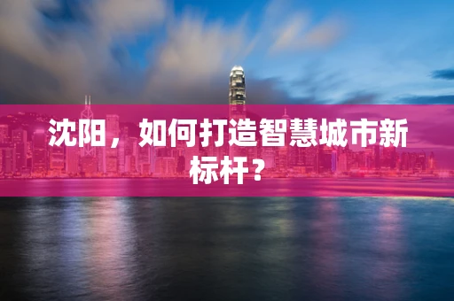 沈阳，如何打造智慧城市新标杆？