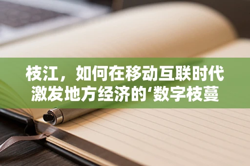 枝江，如何在移动互联时代激发地方经济的‘数字枝蔓’？