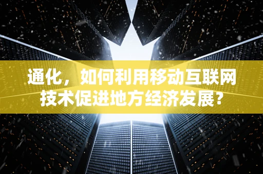 通化，如何利用移动互联网技术促进地方经济发展？