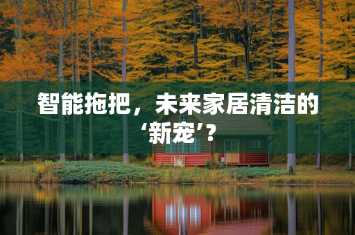 智能拖把，未来家居清洁的‘新宠’？