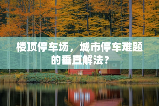 楼顶停车场，城市停车难题的垂直解法？