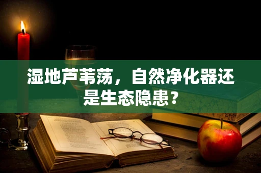 湿地芦苇荡，自然净化器还是生态隐患？