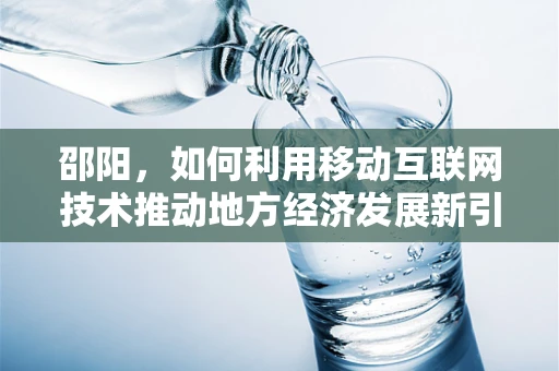 邵阳，如何利用移动互联网技术推动地方经济发展新引擎？