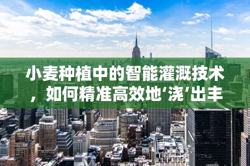 小麦种植中的智能灌溉技术，如何精准高效地‘浇’出丰收？