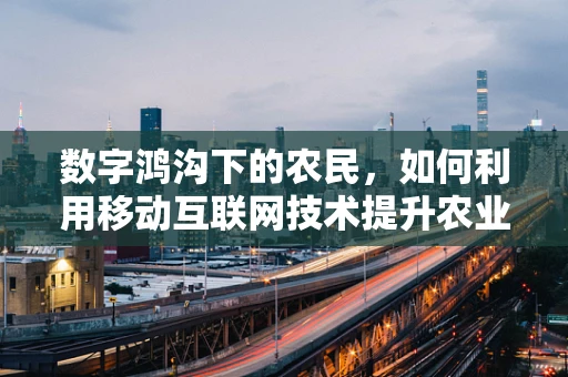 数字鸿沟下的农民，如何利用移动互联网技术提升农业生产力？