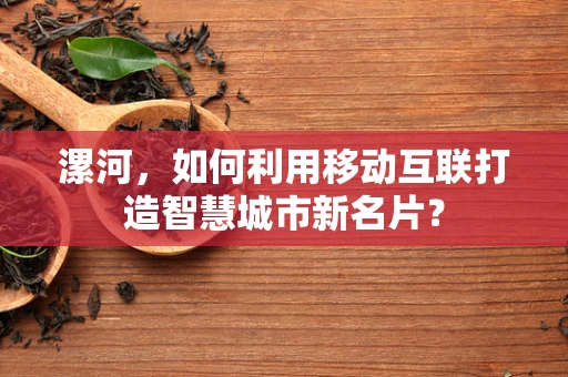 漯河，如何利用移动互联打造智慧城市新名片？