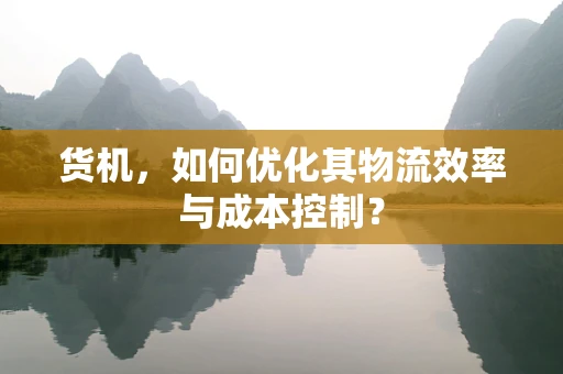 货机，如何优化其物流效率与成本控制？