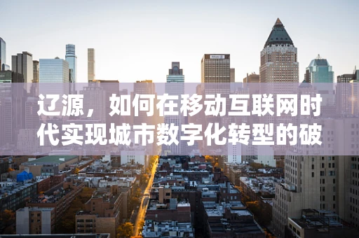 辽源，如何在移动互联网时代实现城市数字化转型的破局？