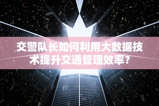 交警队长如何利用大数据技术提升交通管理效率？